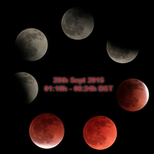 Illustrations of the moon at various stages of a lunar eclipse